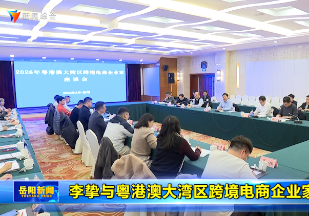 李挚与粤港澳大湾区跨境电商企业家座谈