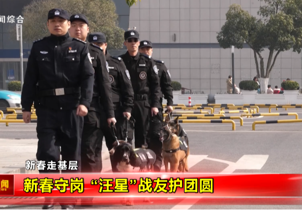 【新春走基层】新春守岗 “汪星”战友护团圆 
