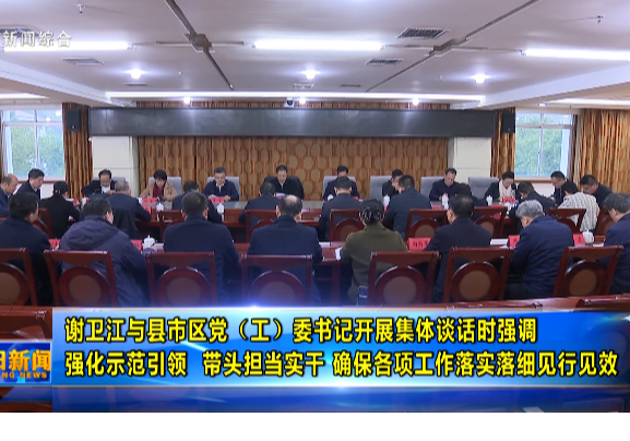 谢卫江与县市区党（工）委书记开展集体谈话时强调 强化示范引领 带头担当实干 确保各项工作落实落细见行见效