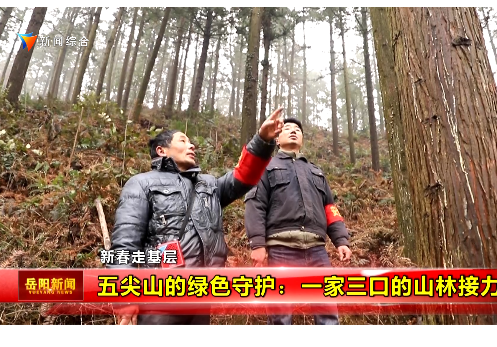 【新春走基层 】五尖山的绿色守护：一家三口的山林接力