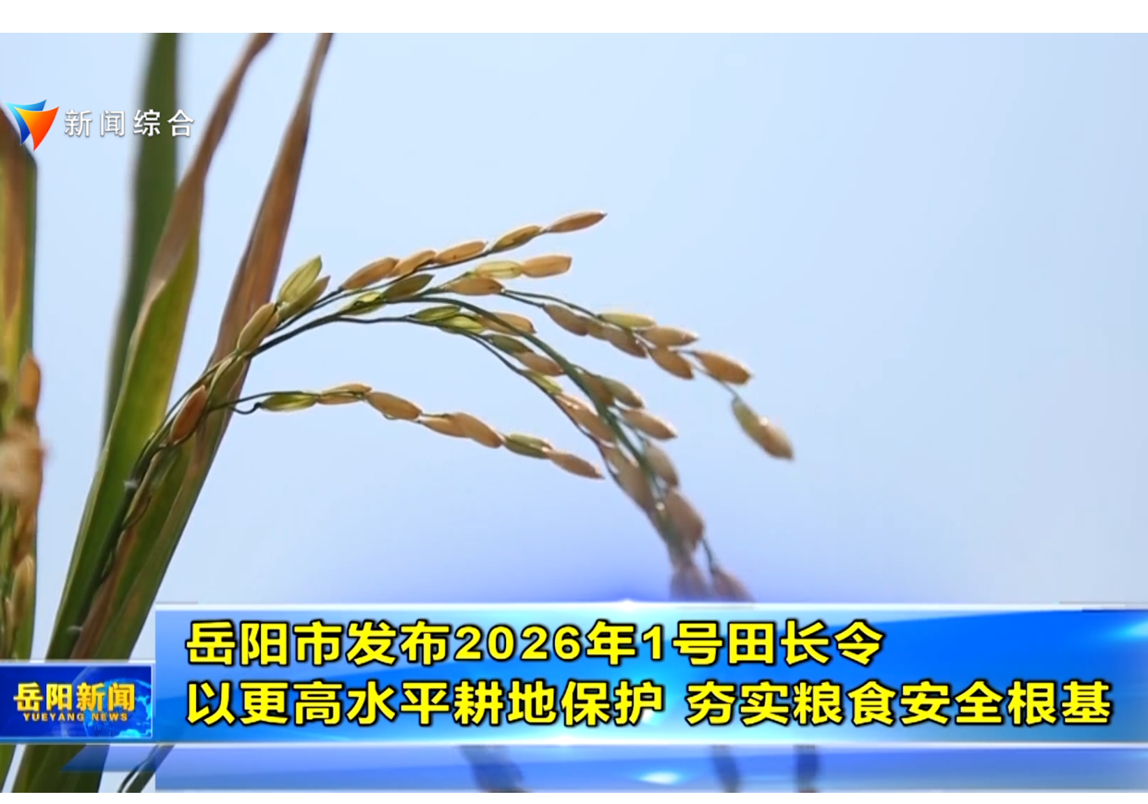 岳阳市发布2026年1号田长令 以更高水平耕地保护 夯实粮食安全根基