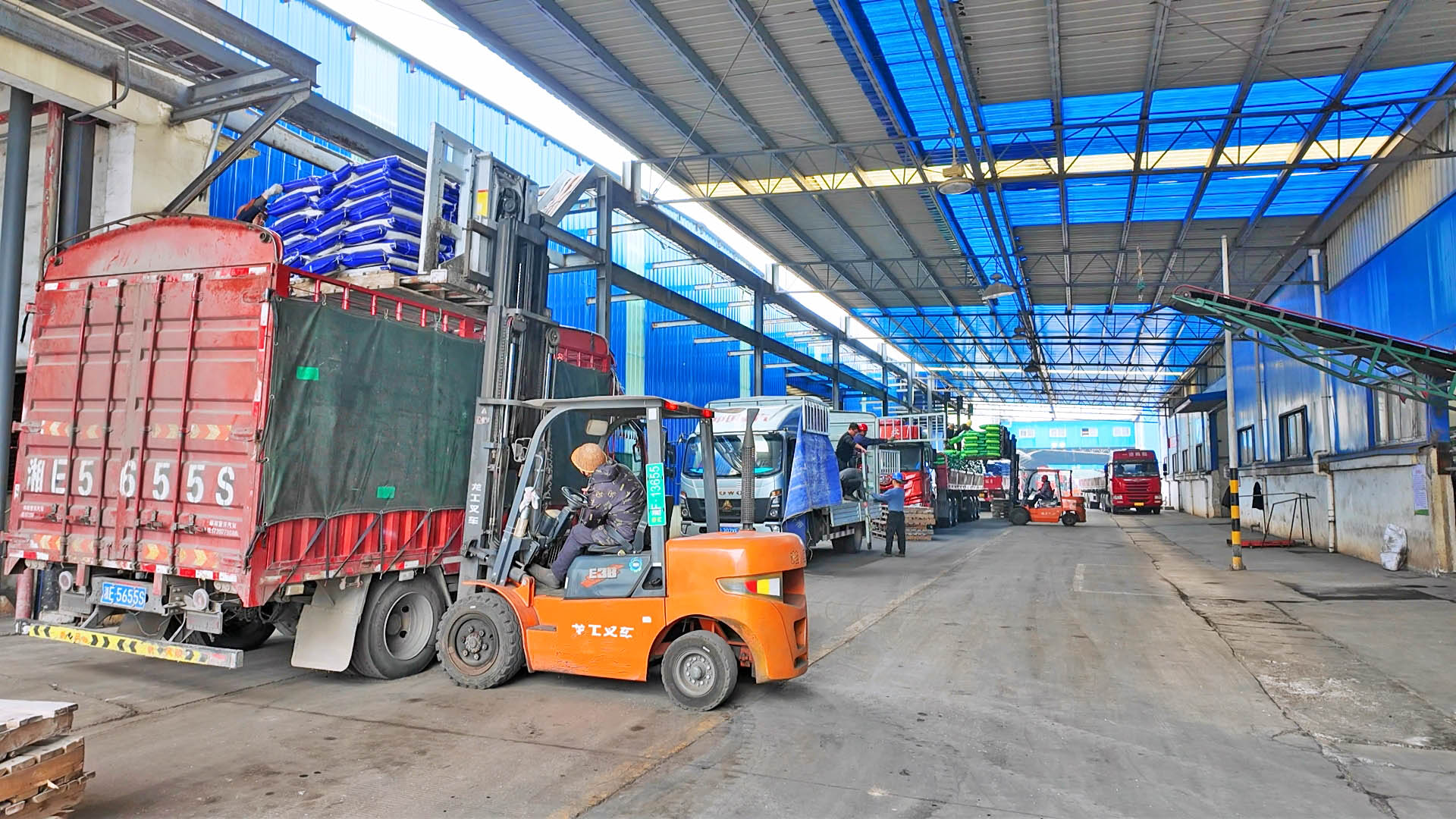 0310 金叶众望：开足马力赶订单 全力保供助春耕1.jpg