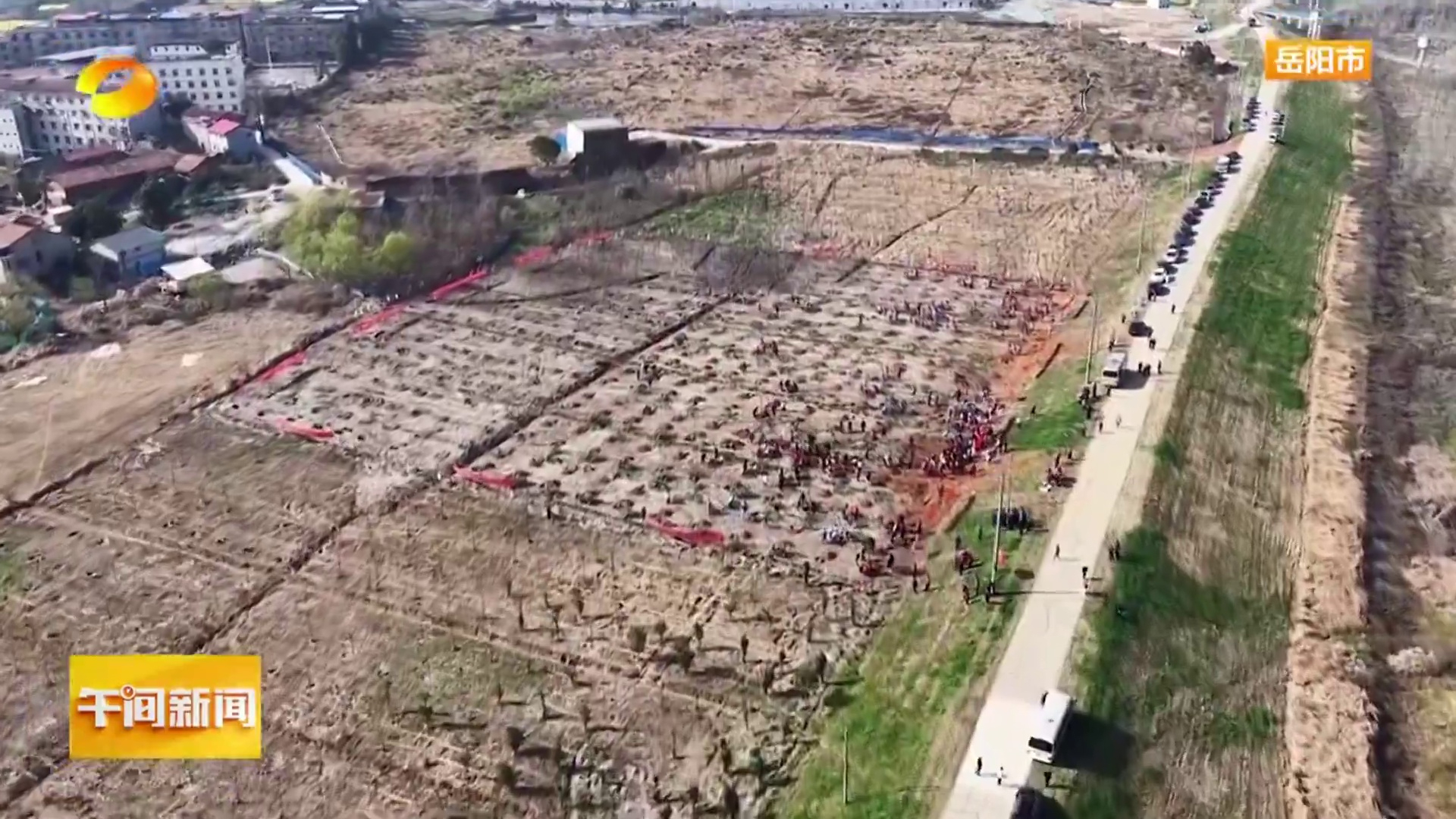 【湖南卫视】植绿护绿正当时 三湘大地添新绿