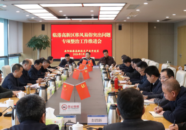 岳阳临港高新区召开移风易俗突出问题专项整治工作推进会