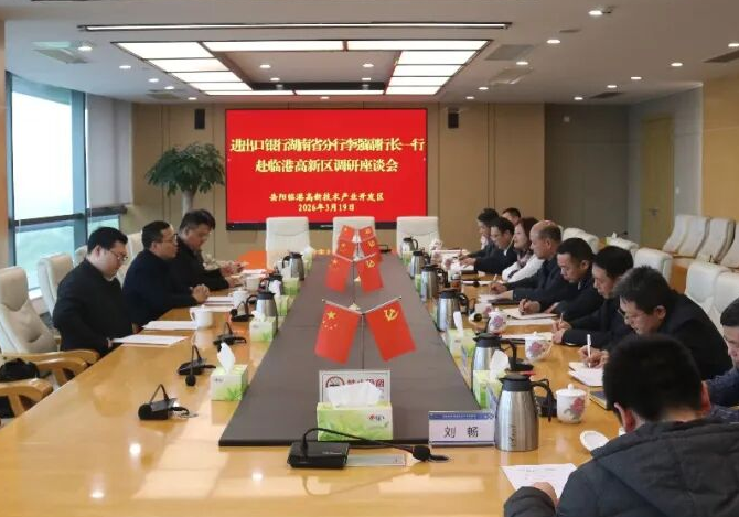 进出口银行湖南省分行来临港高新区调研座谈