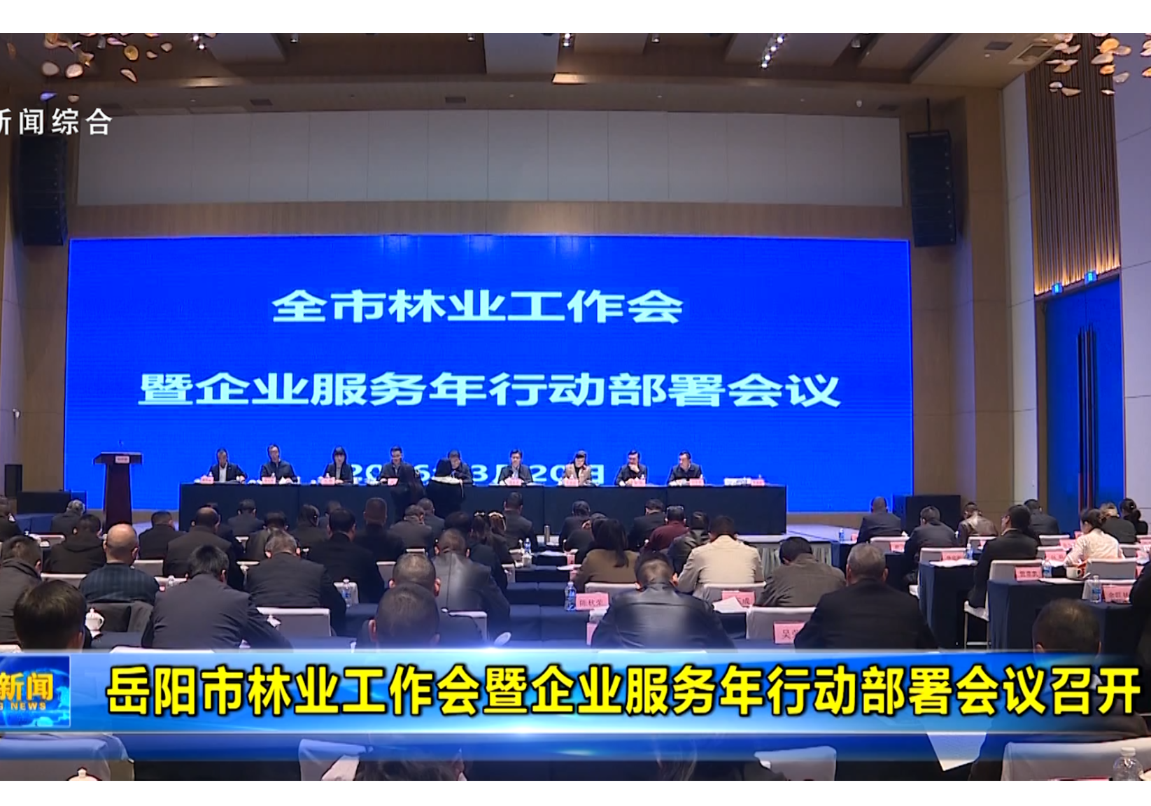 岳阳市林业工作会暨企业服务年行动部署会议召开