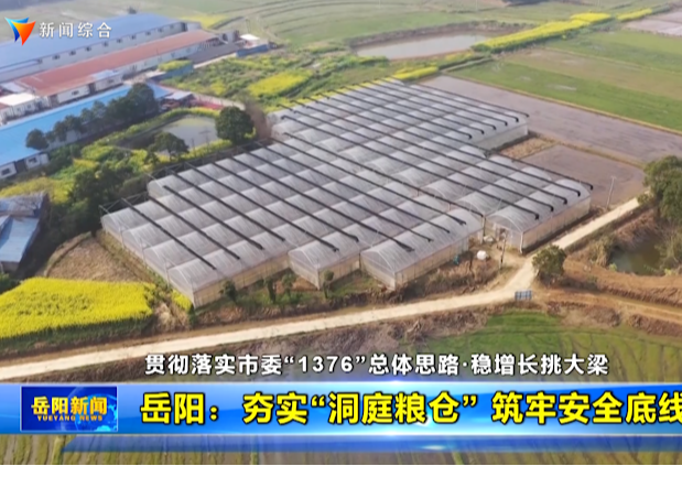 【贯彻落实市委“1376”总体思路·稳增长挑大梁】岳阳：夯实“洞庭粮仓” 筑牢安全底线