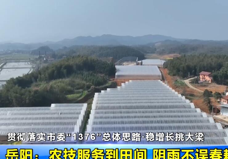 【贯彻落实市委“1376”总体思路·稳增长挑大梁】岳阳：农技服务到田间 阴雨不误春耕时