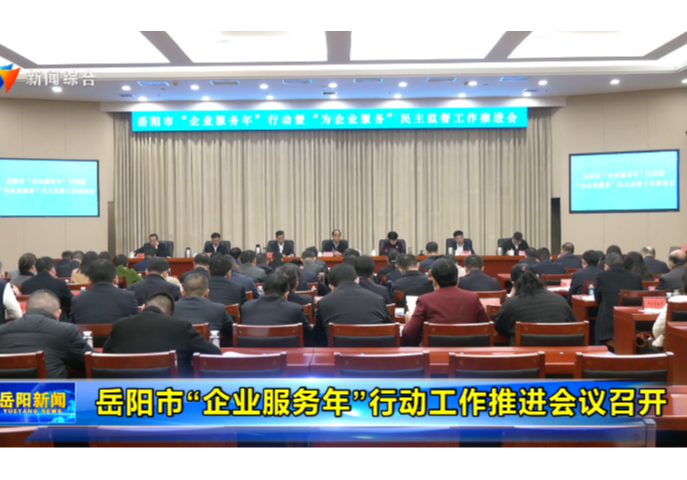 岳阳市“企业服务年”行动工作推进会议召开