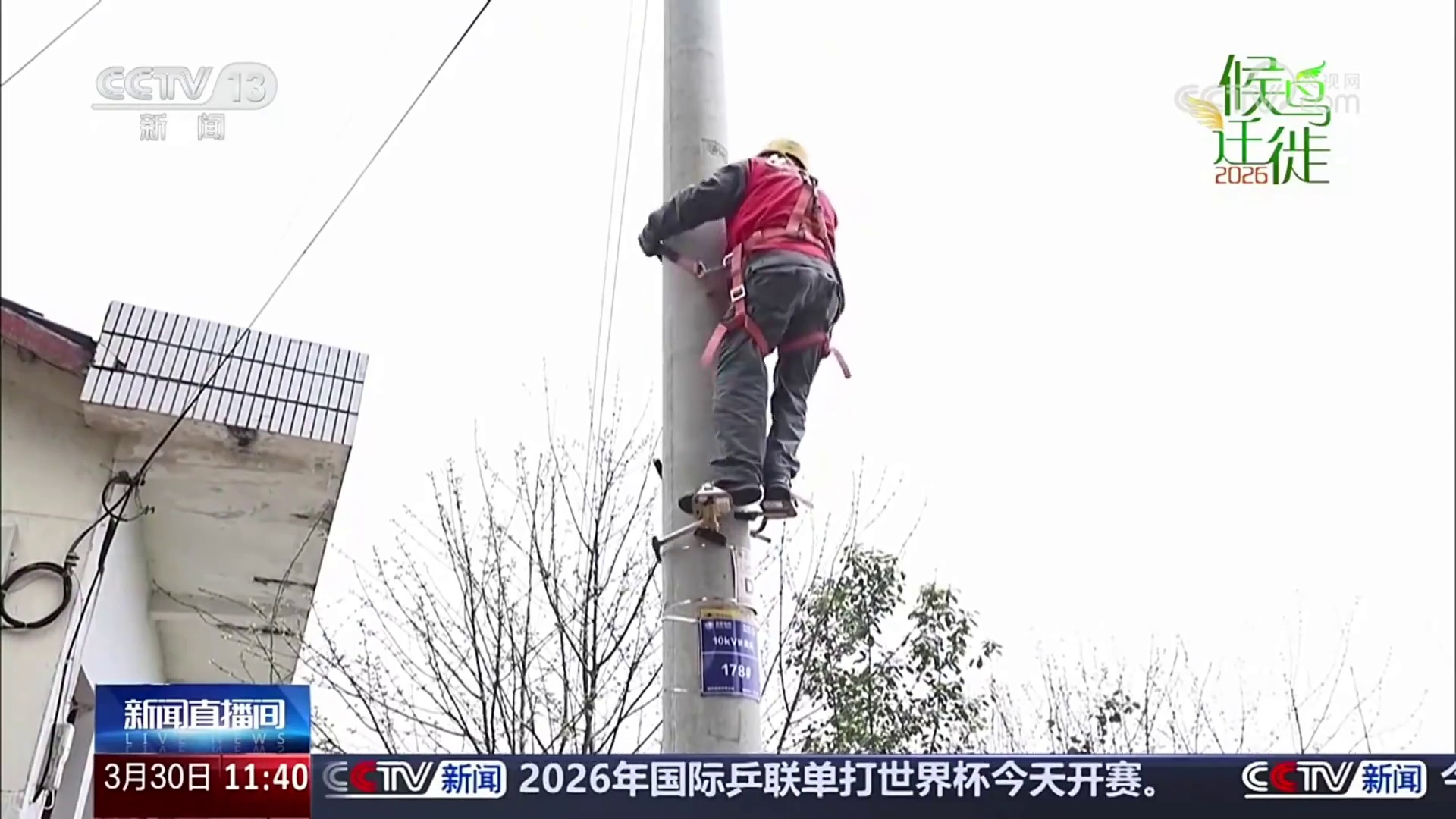 【央视】岳阳湘阴横岭湖自然保护区：多方同心  守护鸟类安全栖息