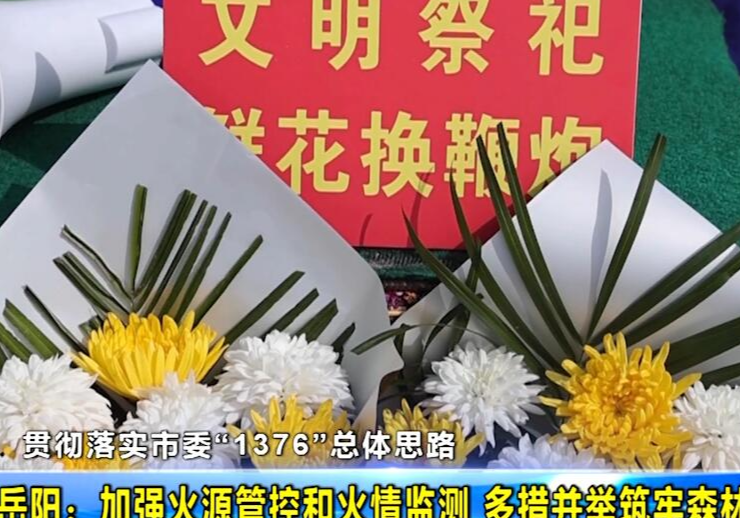 【贯彻落实市委“1376”总体思路】岳阳：加强火源管控火情监测 多措并举筑牢森林“防火墙”	