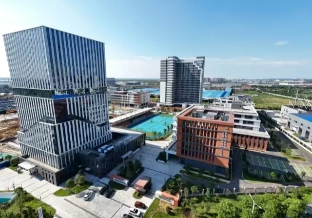 临港高新区召开 2026 年第一季度安委会