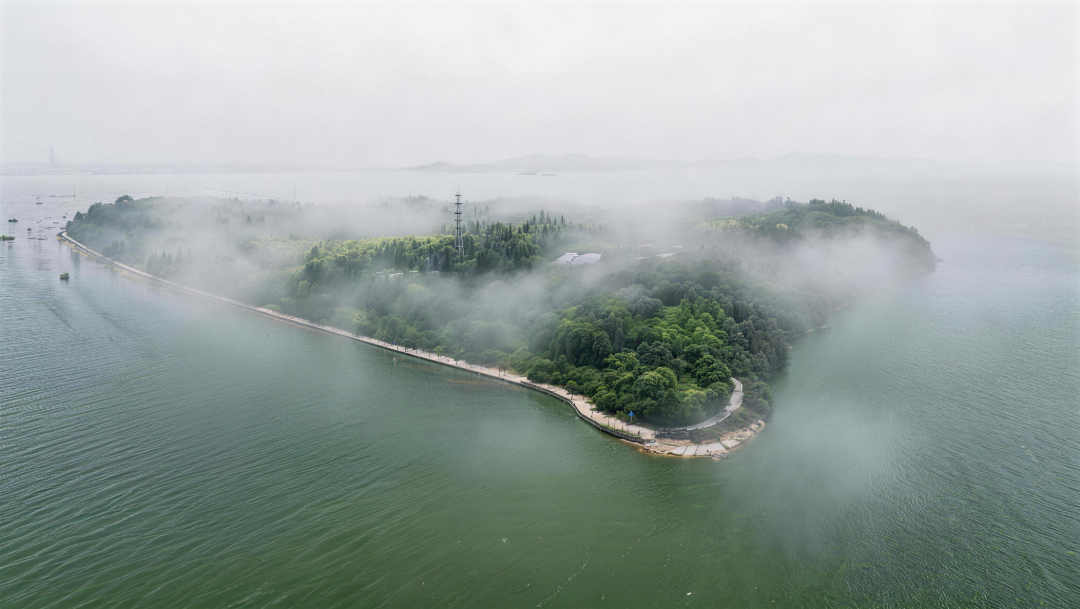 jimeng-2026-03-20-7093-在当前图片基础上，增加树林和水面的雾气浓度，保持整体构造和色调不变，生成高清图片.png