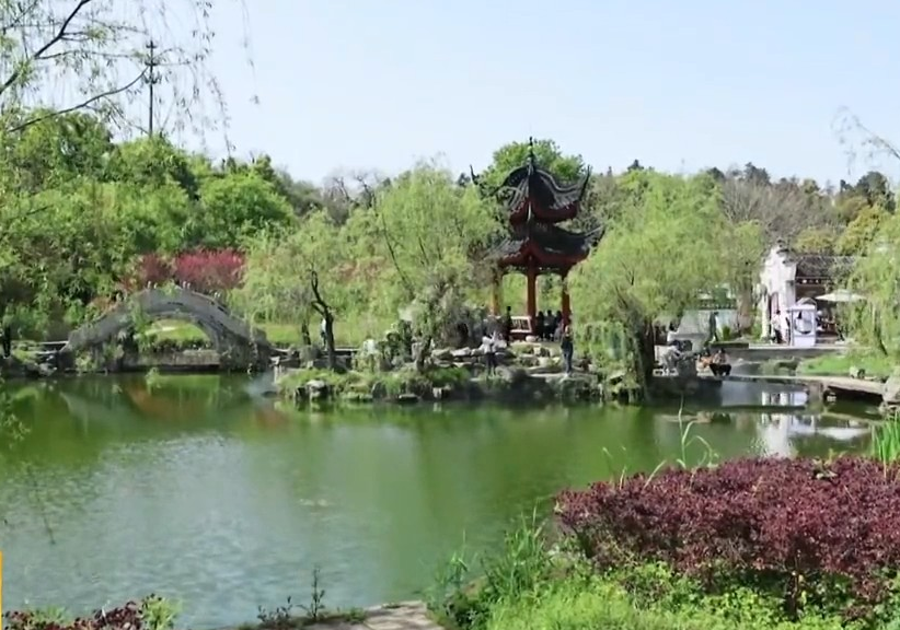 湖南卫视【午间新闻】我们的节日·清明 不负春光与时同行 湖南文旅迎来“小阳春”
