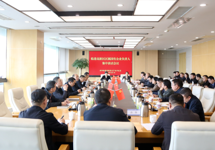 临港高新区：推进国企集团化改革  锻造高质量发展核心引擎