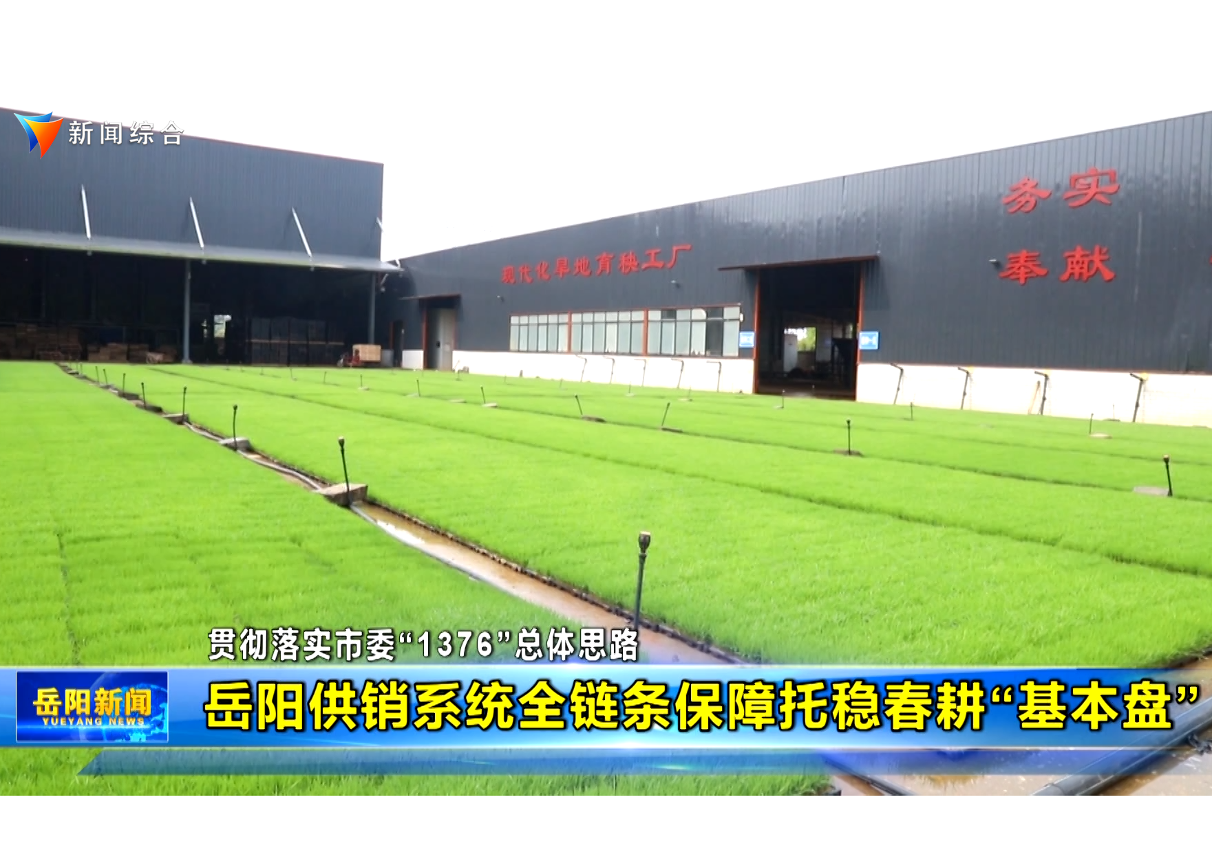 【贯彻落实市委“1376”总体思路】岳阳供销系统全链条保障托稳春耕“基本盘”