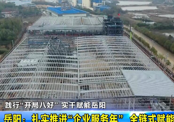 【践行“开局八好” 实干赋能岳阳】岳阳：扎实推进“企业服务年”  全链式赋能企业发展