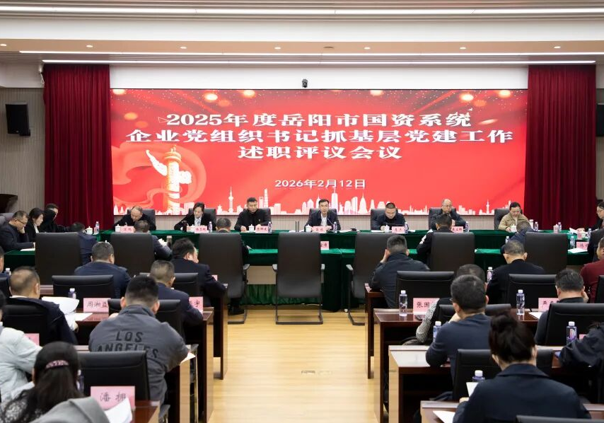 岳阳市国资系统召开2025年度企业党组织书记抓基层党建工作述职评议会议