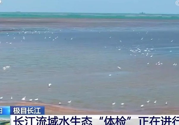 【央视·新闻直播间】极目长江  科学考评赋能 长江也要常“体检”