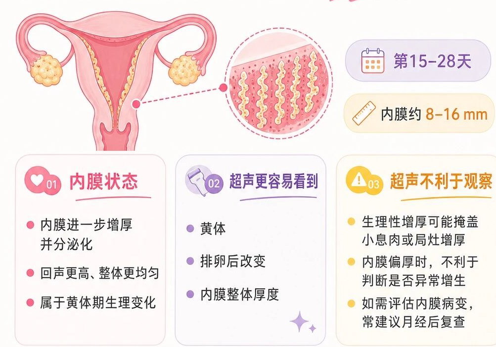 做B超不光是避开月经就行