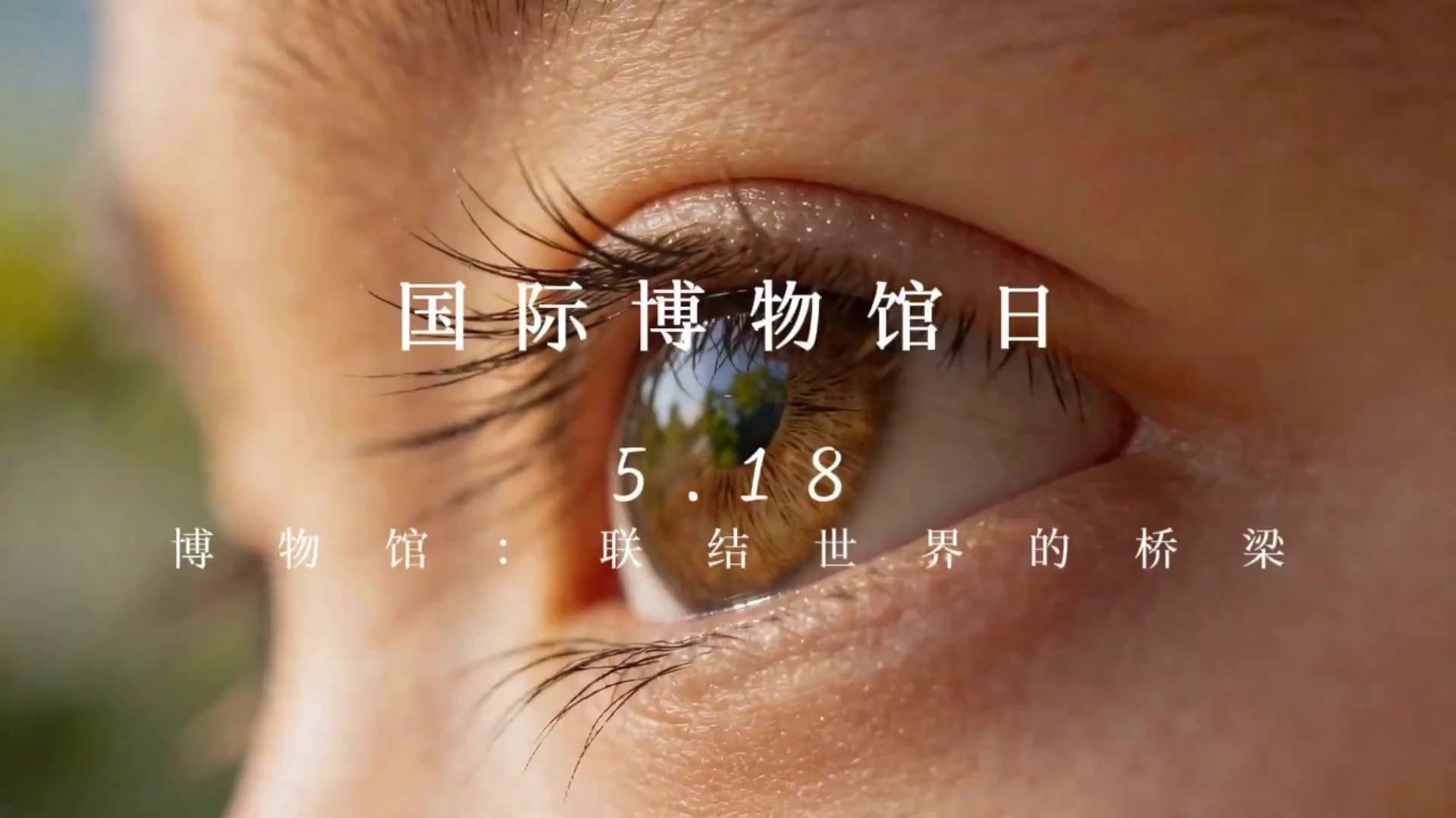 2026年5·18国际博物馆日主题:“博物馆：联结世界的桥梁”