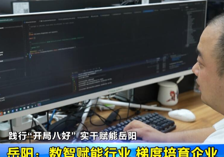 【践行“开局八好” 实干赋能岳阳】岳阳：数智赋能行业 梯度培育企业