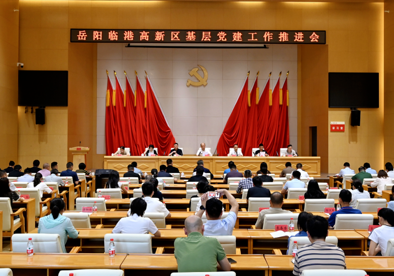 临港高新区召开基层党建工作推进会