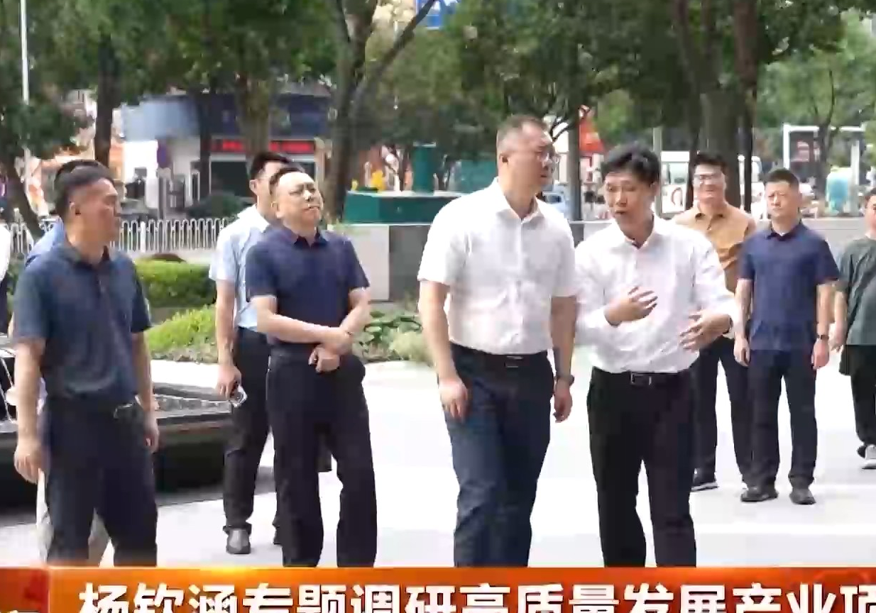 杨钦涵专题调研高质量发展产业项目建设
