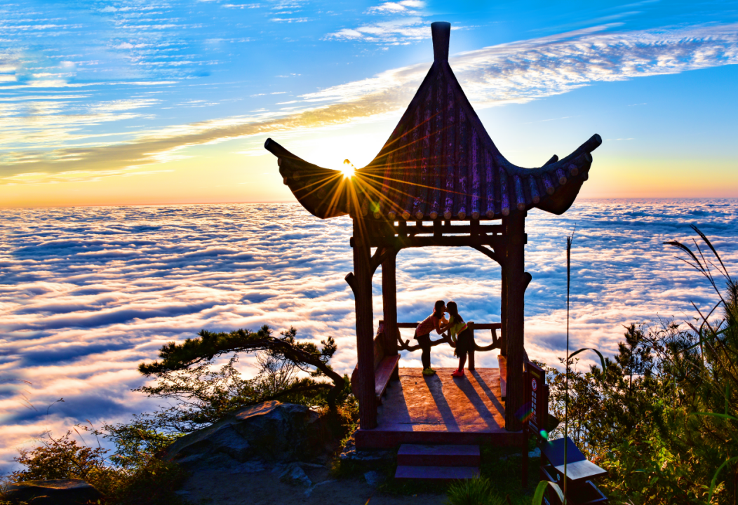 image.gif 图片