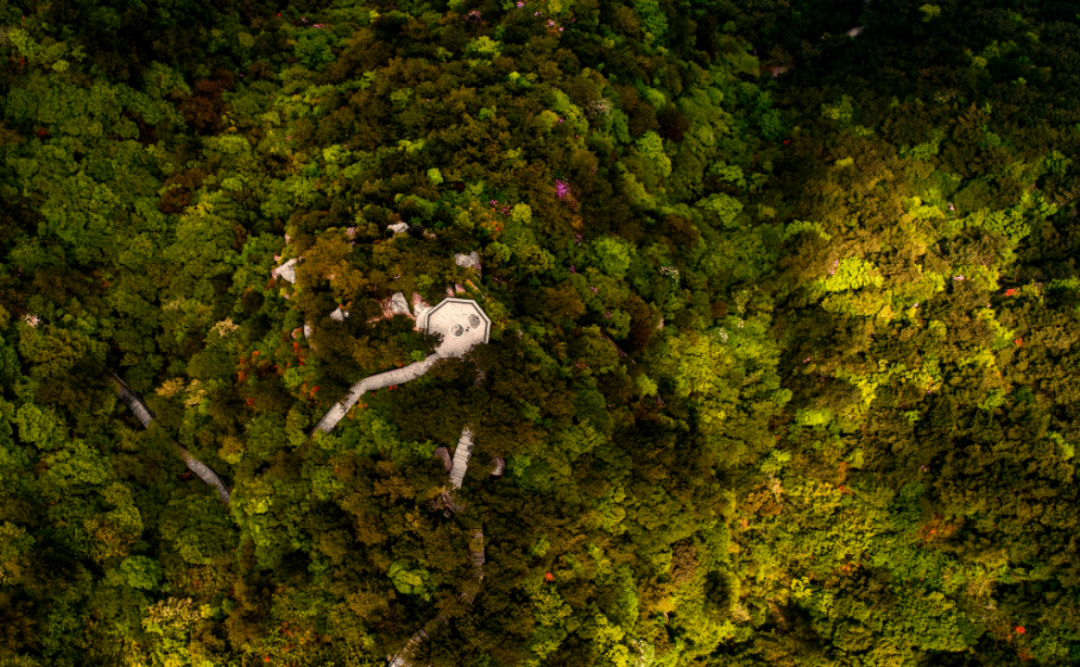 image.gif 图片
