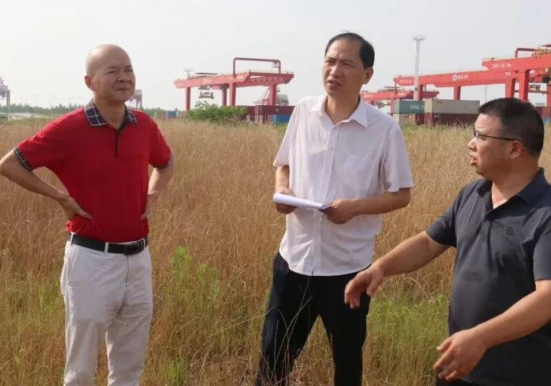 临港高新区开展省级生态环保督察“回头看”信访件现场核查督办