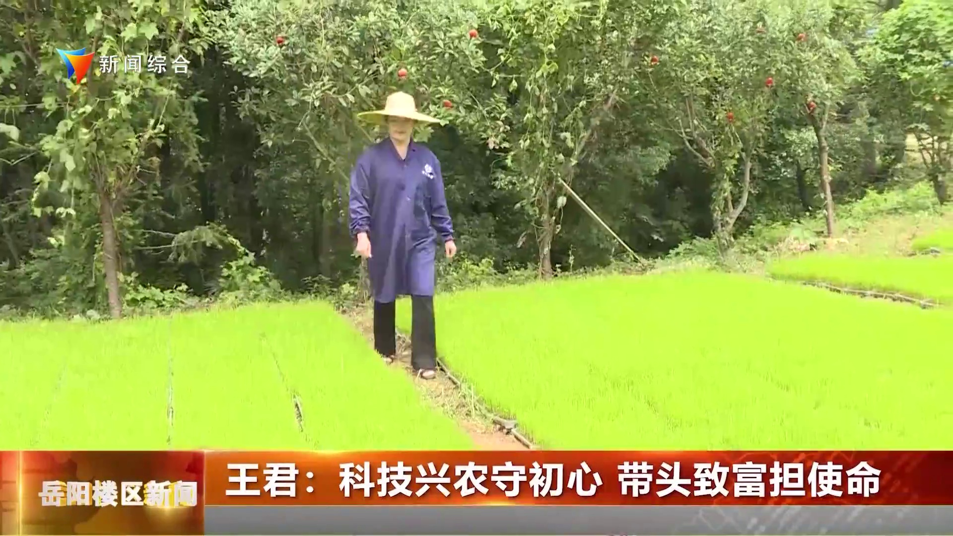 王君：科技兴农守初心 带头致富担使命