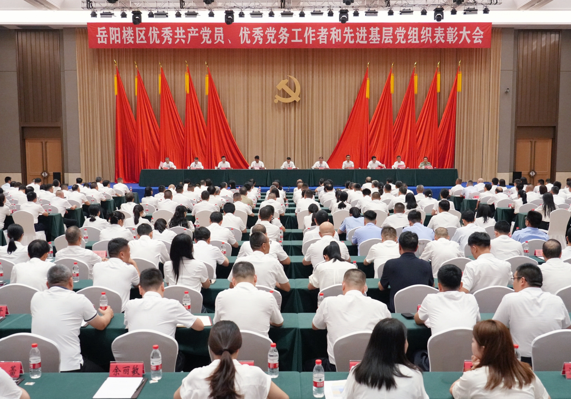 岳阳楼区“两优一先”表彰大会召开