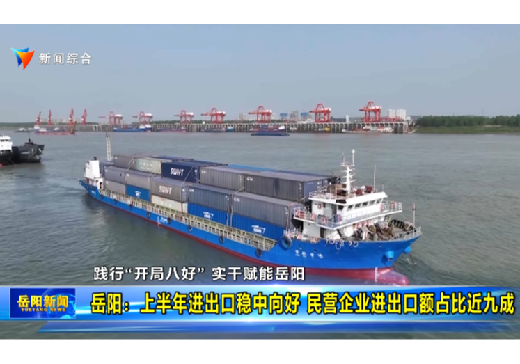 【践行“开局八好” 实干赋能岳阳】 岳阳：上半年进出口稳中向好 民营企业进出口额占比近九成