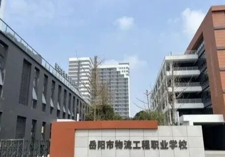 临港高新区：“学校建在产业链上” 释放强劲吸引力   产业园职校秋招热度拉满