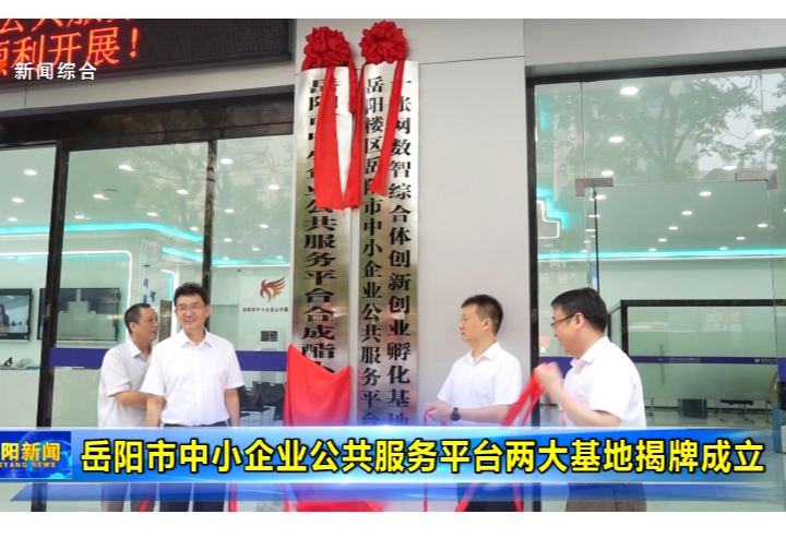 岳阳市中小企业公共服务平台两大基地揭牌成立