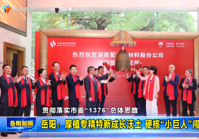 岳阳：厚植专精特新成长沃土 硬核“小巨人”闯出新赛道