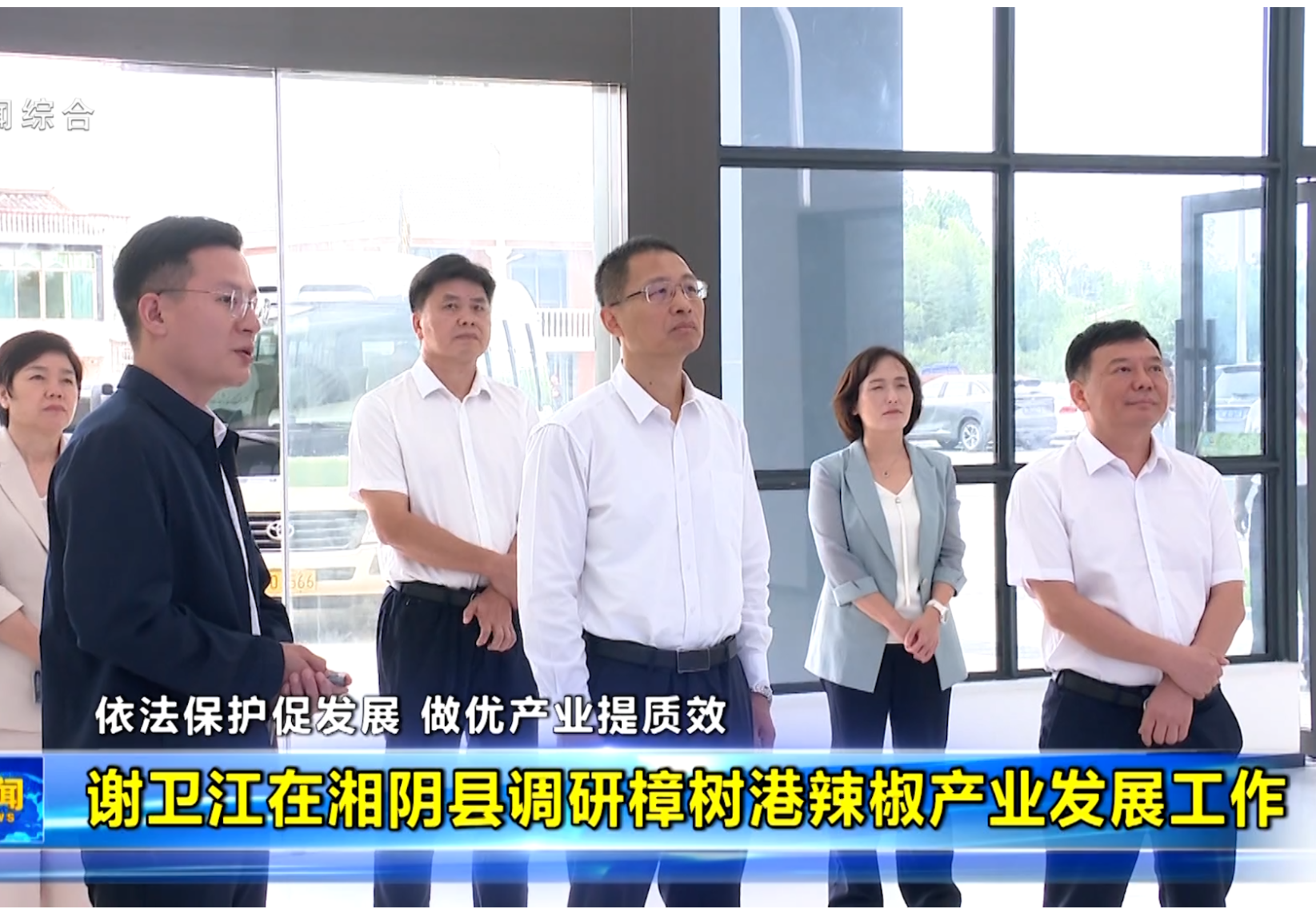 谢卫江在湘阴县调研樟树港辣椒产业发展工作