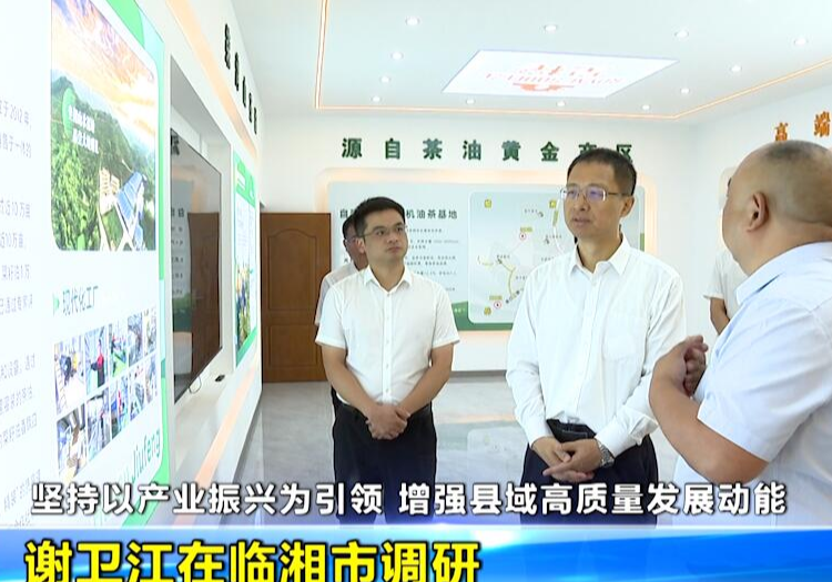 谢卫江在临湘市调研