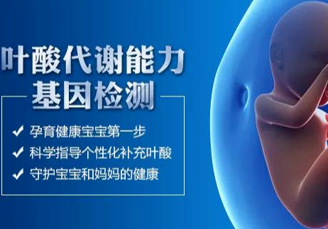 叶酸别乱补！基因决定你的补充量