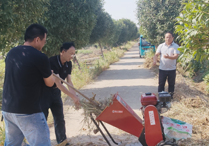治河渡镇：菜园秸秆就地还田