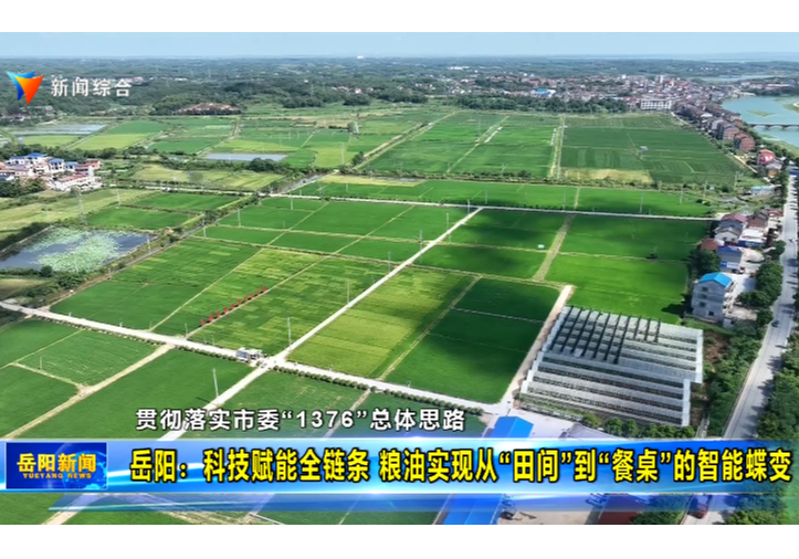【贯彻落实市委“1376”总体思路】岳阳：科技赋能全链条 粮油实现从“田间”到“餐桌”的智能蝶变