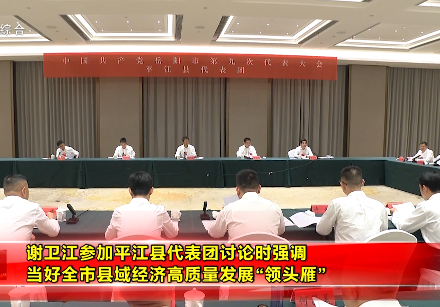 谢卫江参加平江县代表团讨论时强调 当好全市县域经济高质量发展“领头雁”