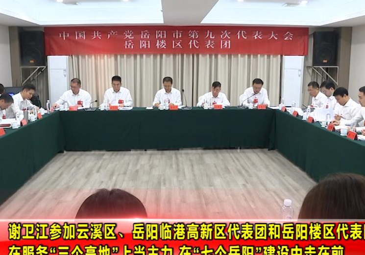 谢卫江参加云溪区、岳阳临港高新区代表团和岳阳楼区代表团讨论时强调 在服务“三个高地”上当主力 在“七个岳阳”建设中走在前