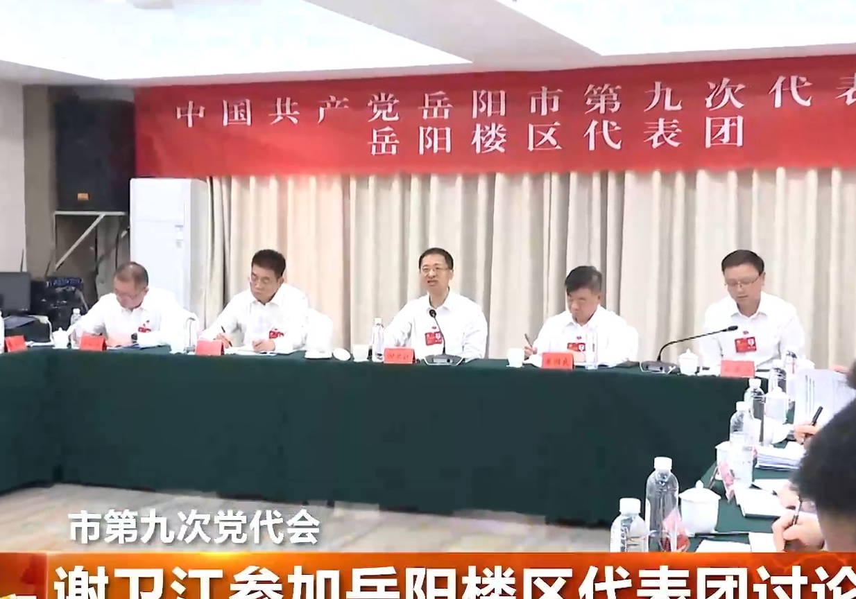 市第九次党代会 谢卫江参加岳阳楼区代表团讨论