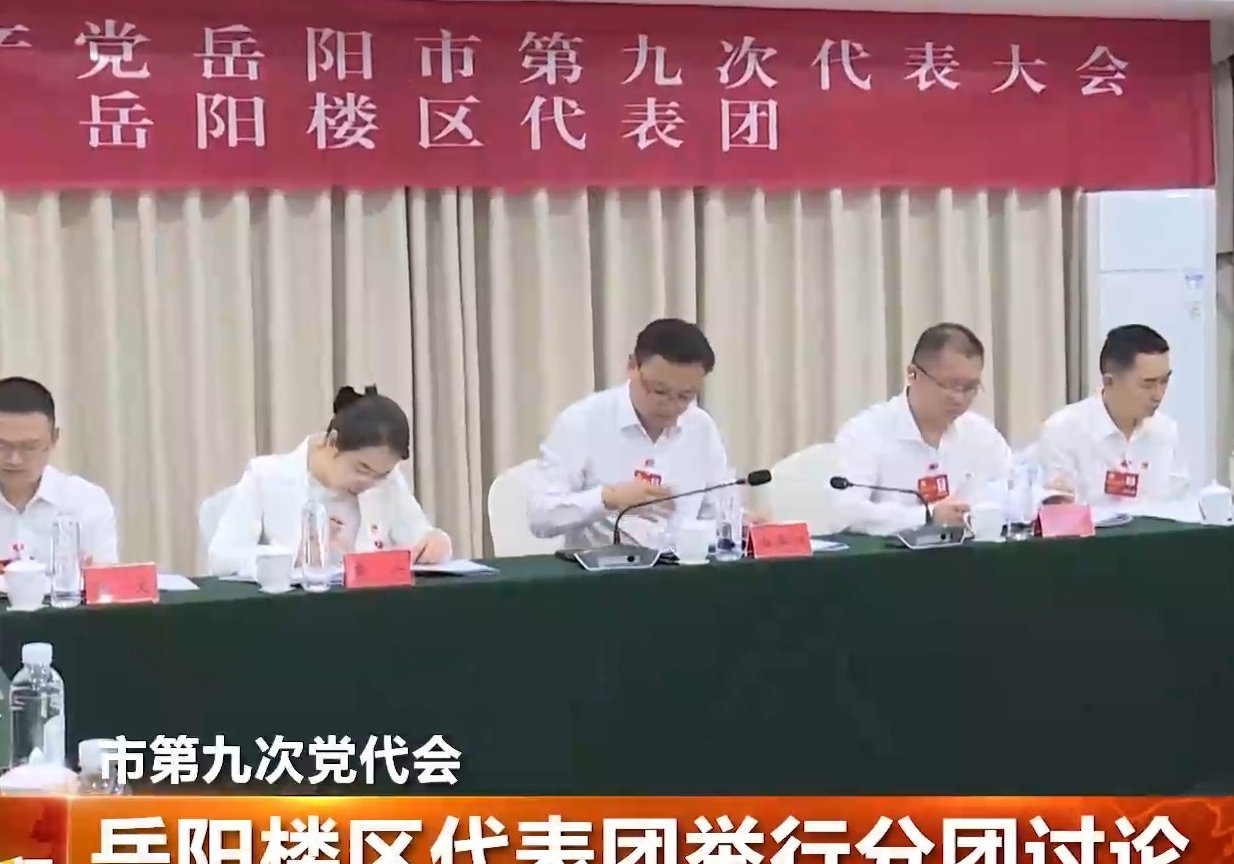 市第九次党代会 岳阳楼区代表团举行分团讨论