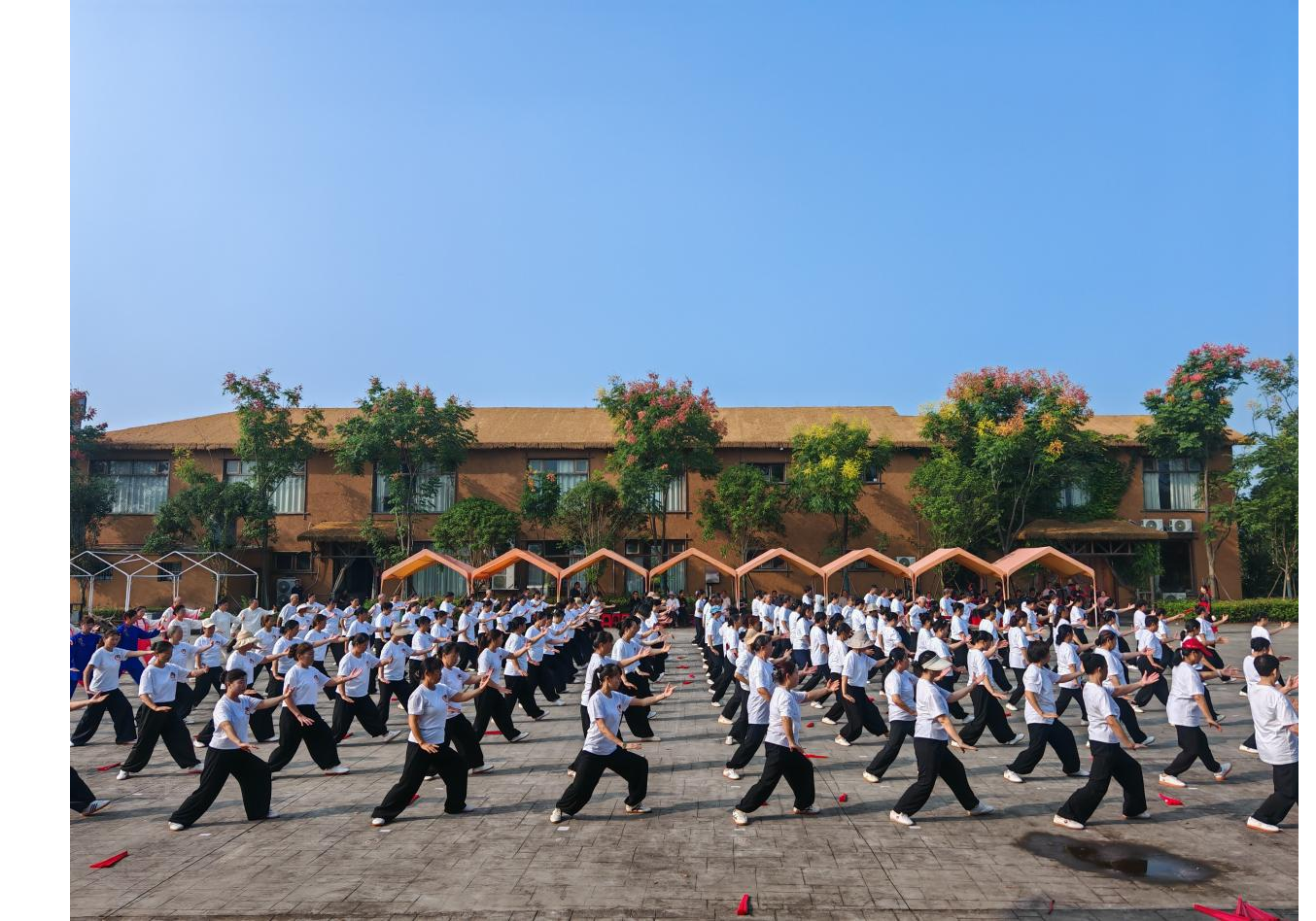 迎中秋 庆国庆｜湖南省第七届社区运动会河市镇太极拳海选赛圆满举办