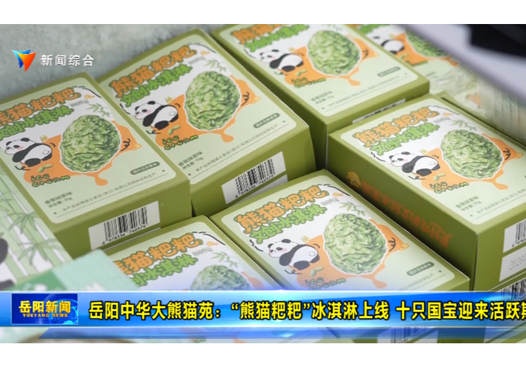 岳阳中华大熊猫苑：“熊猫粑粑”冰淇淋上线 十只国宝迎来活跃期