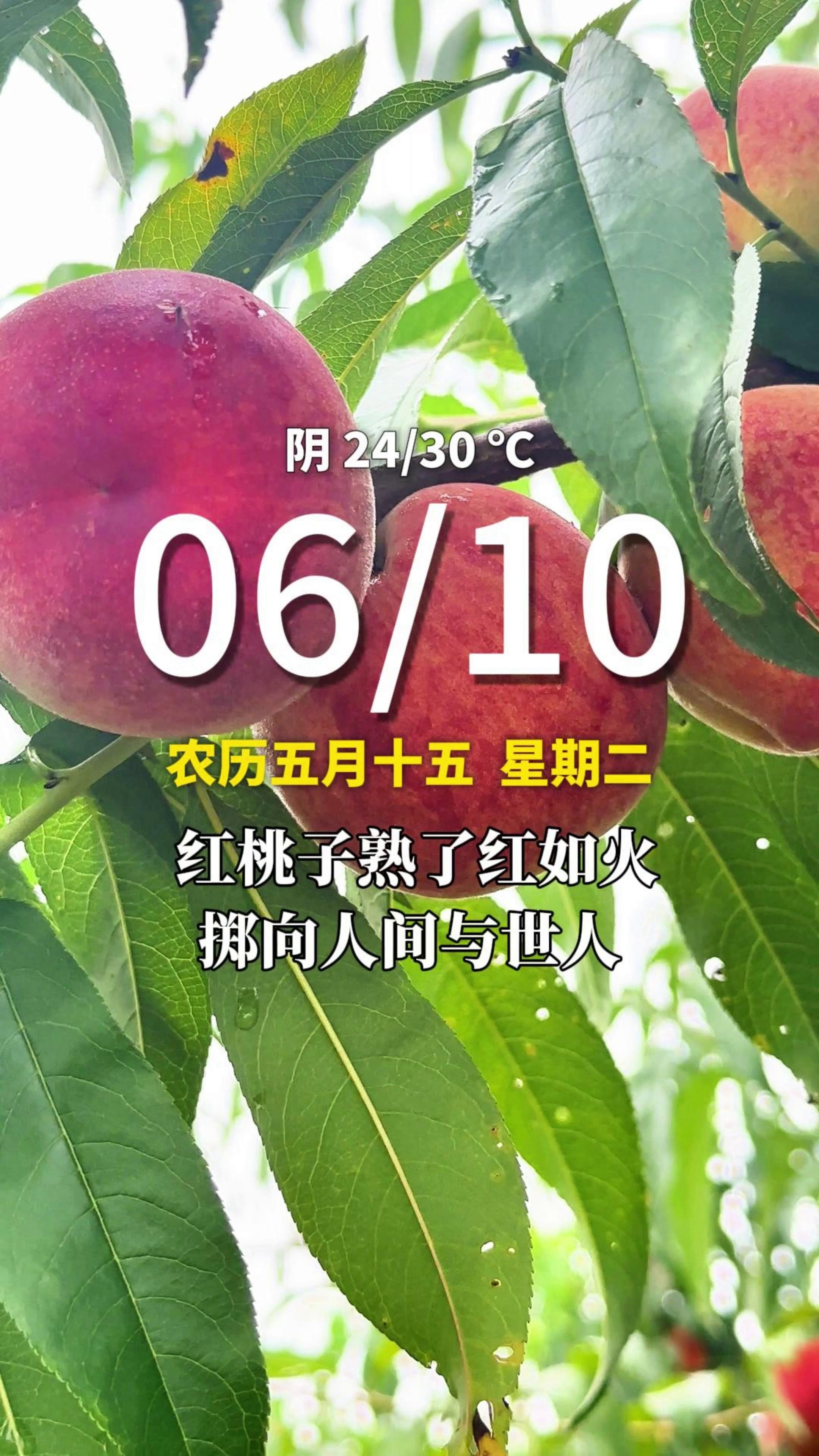 6月10日，星期二，早安。