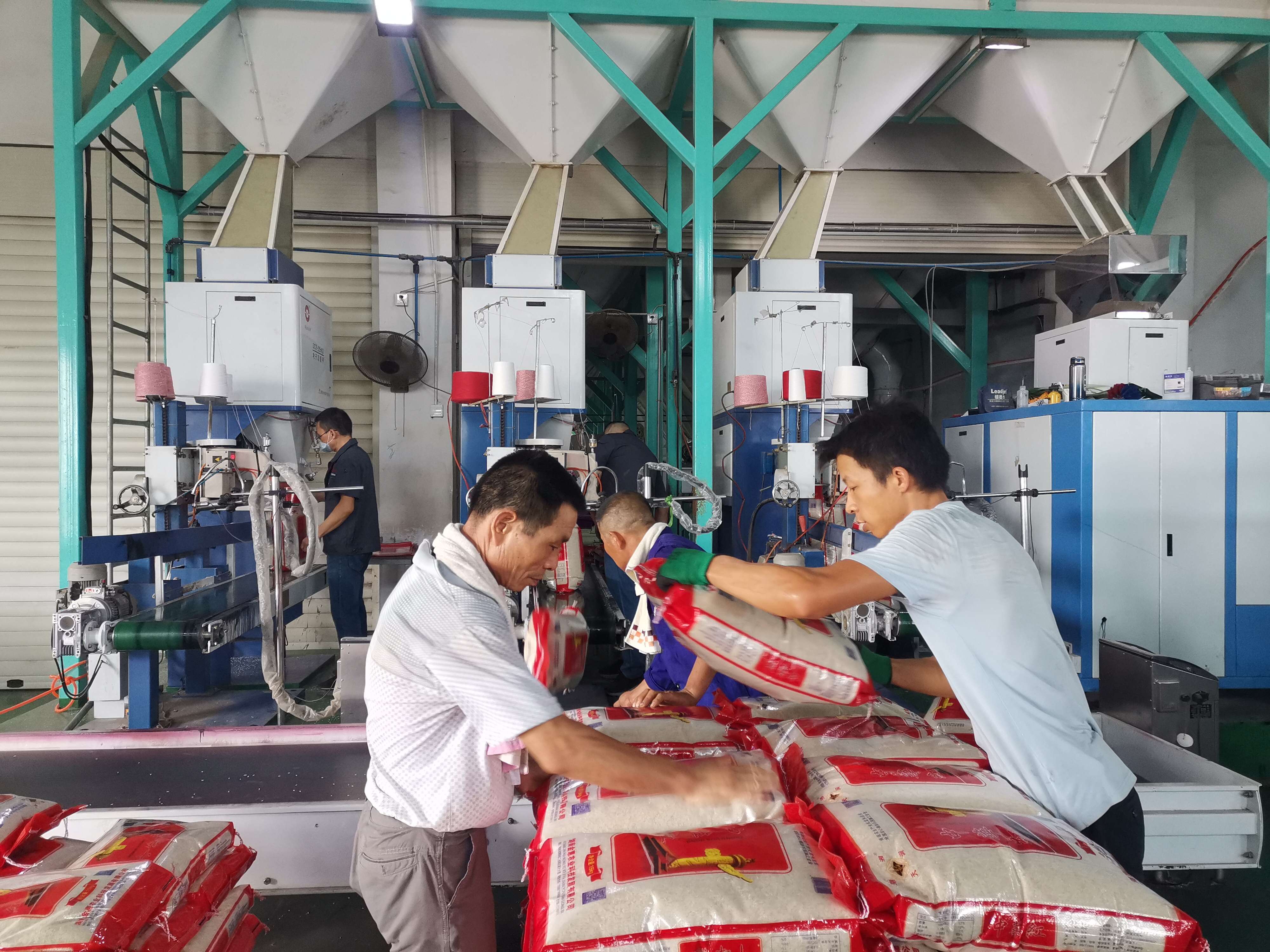 记者在金惠农科湘阴县工业园区大米生加工厂看到,该公司董事长钟定国